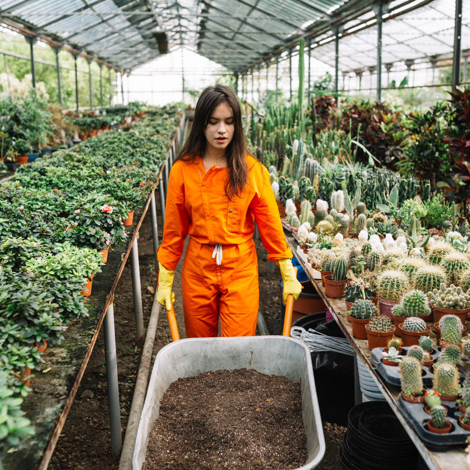 گلخانه با لامپ رشد گیاه