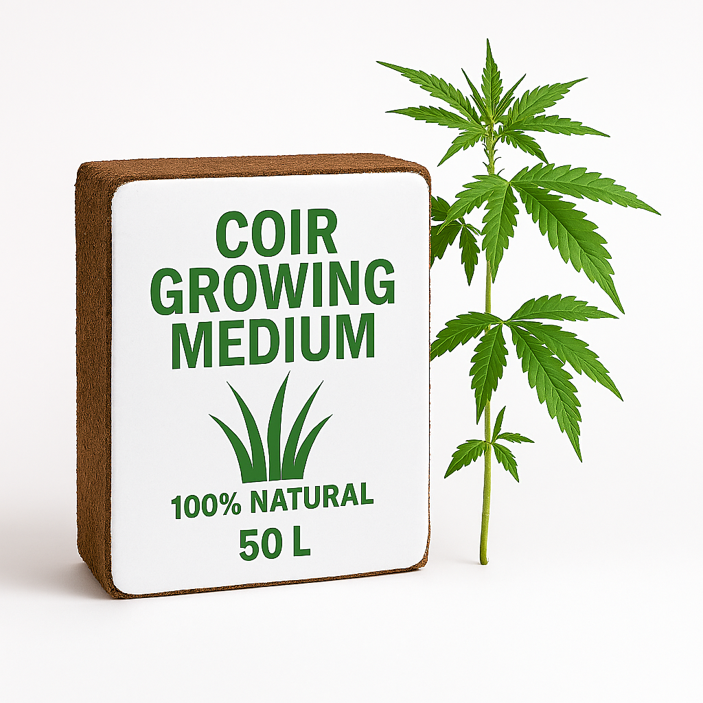 خاک کوکوپیت اورجینال